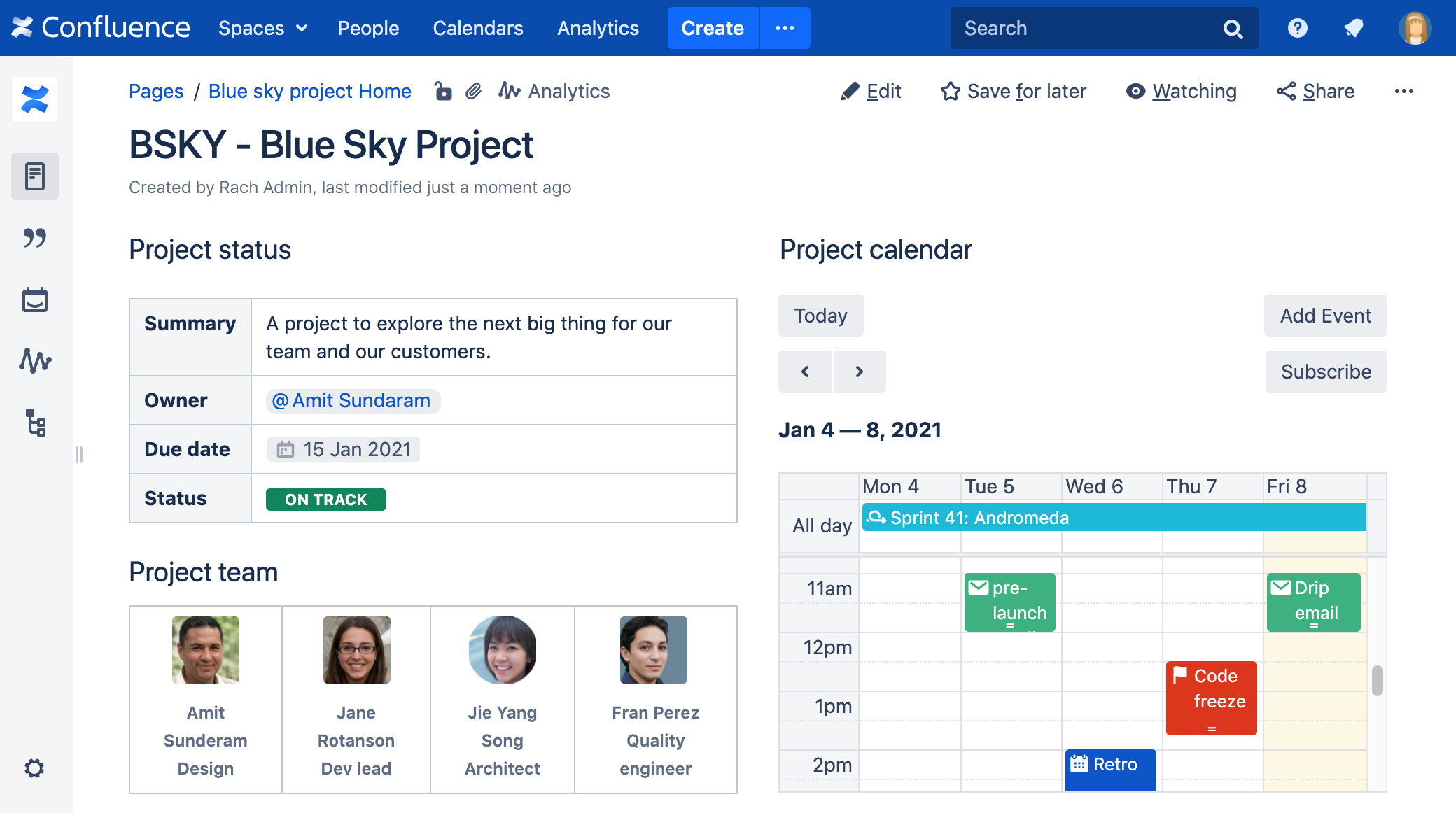 Team calendar view